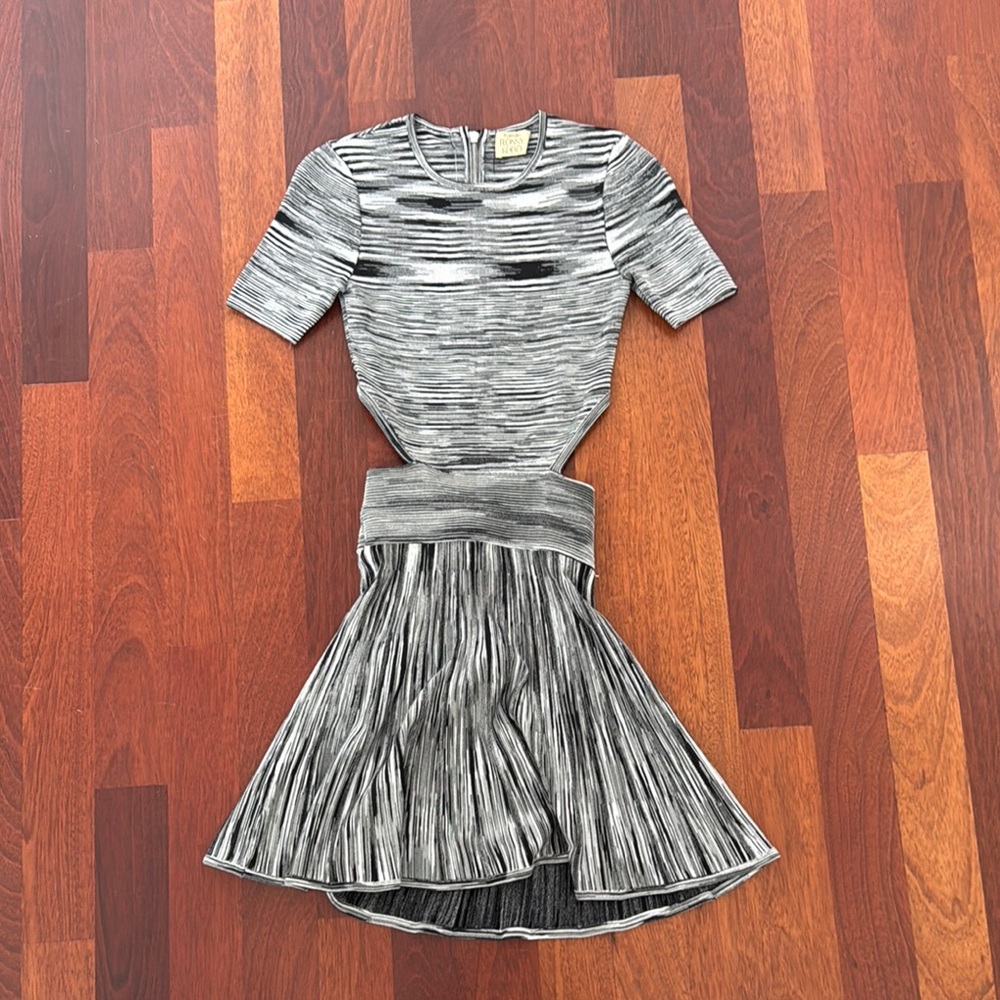 Torn by Ronny Kobo Black and Gray Dress